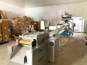 Линия, установленная на объекте заказчика