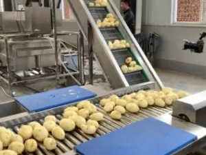 Предварительная очистка и удаление кожуры