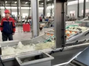 Промывание и бланширование